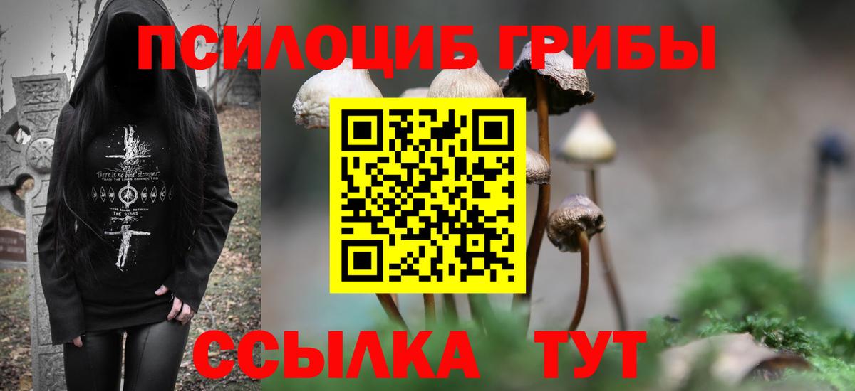 Елабуга  Галлюциногенные грибы Psilocybe  закладка  Вход с VPN 